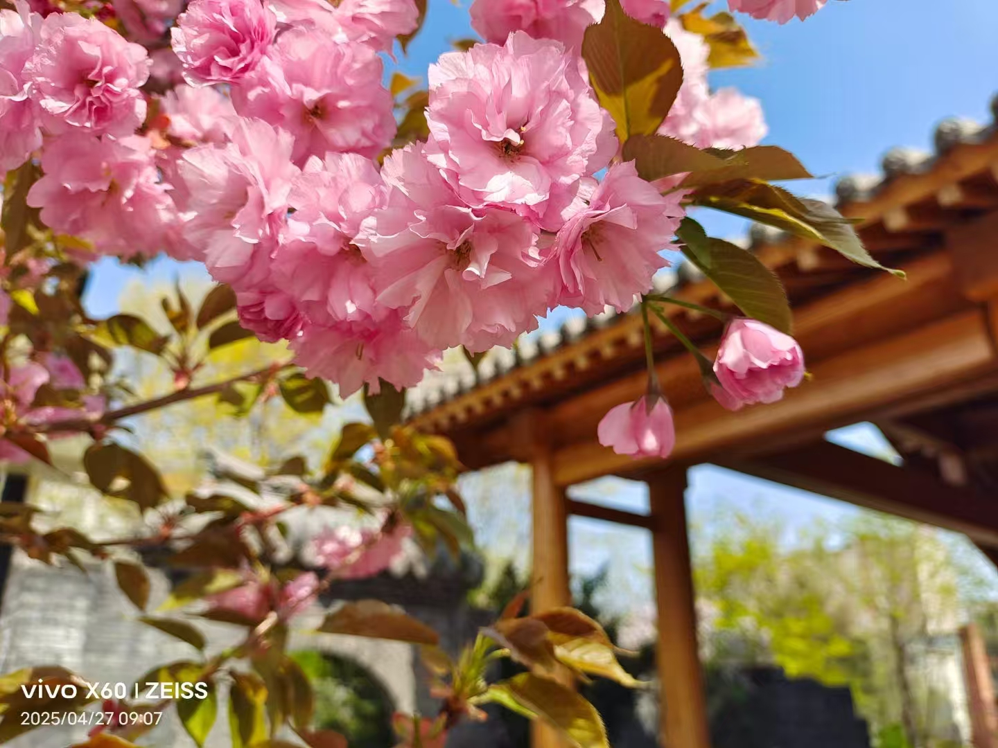 无情记者有情人