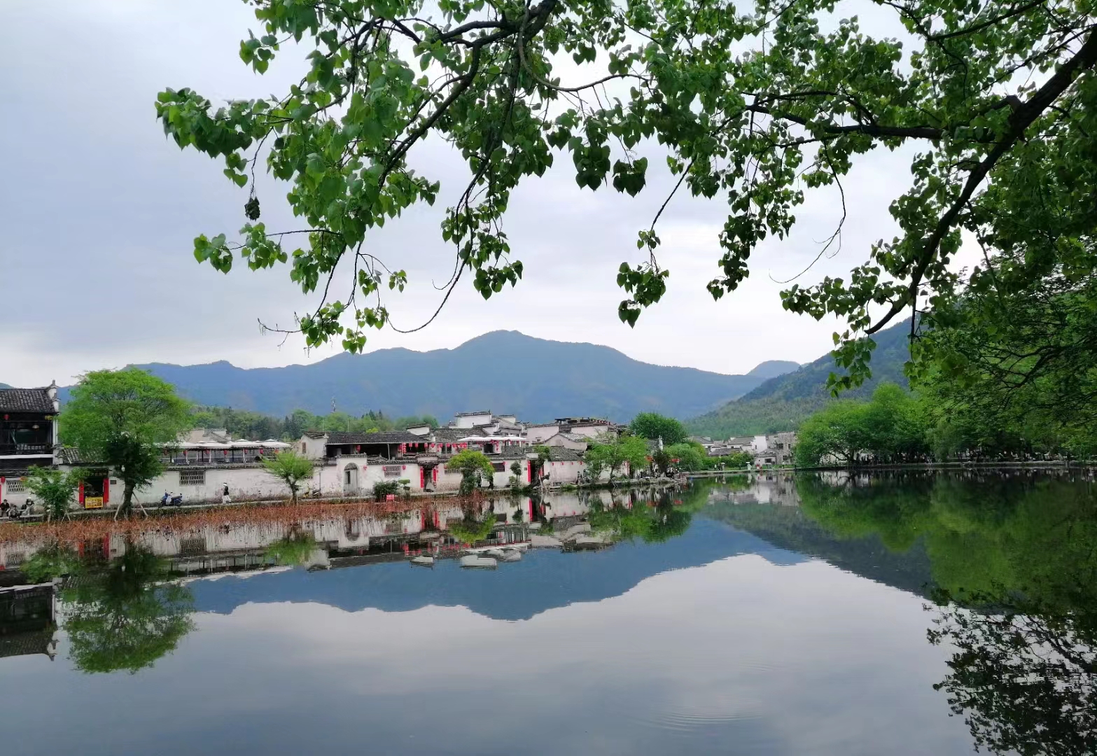 微信图片_20230509105203