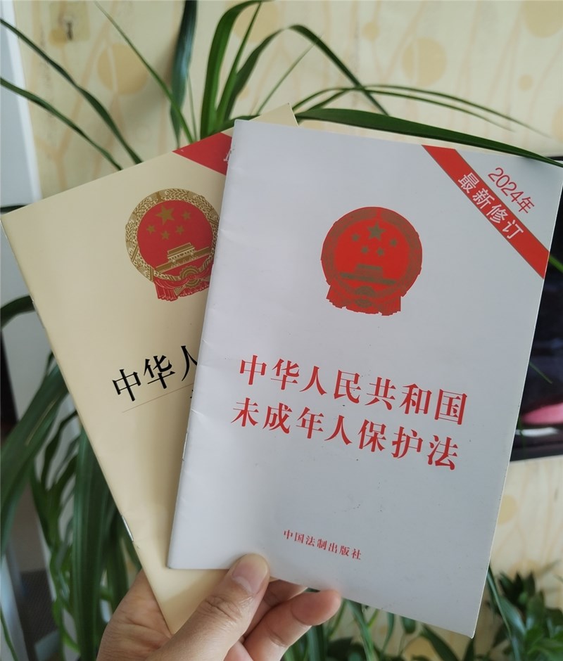 开学季 我送儿子《未成年人保护法》做礼物