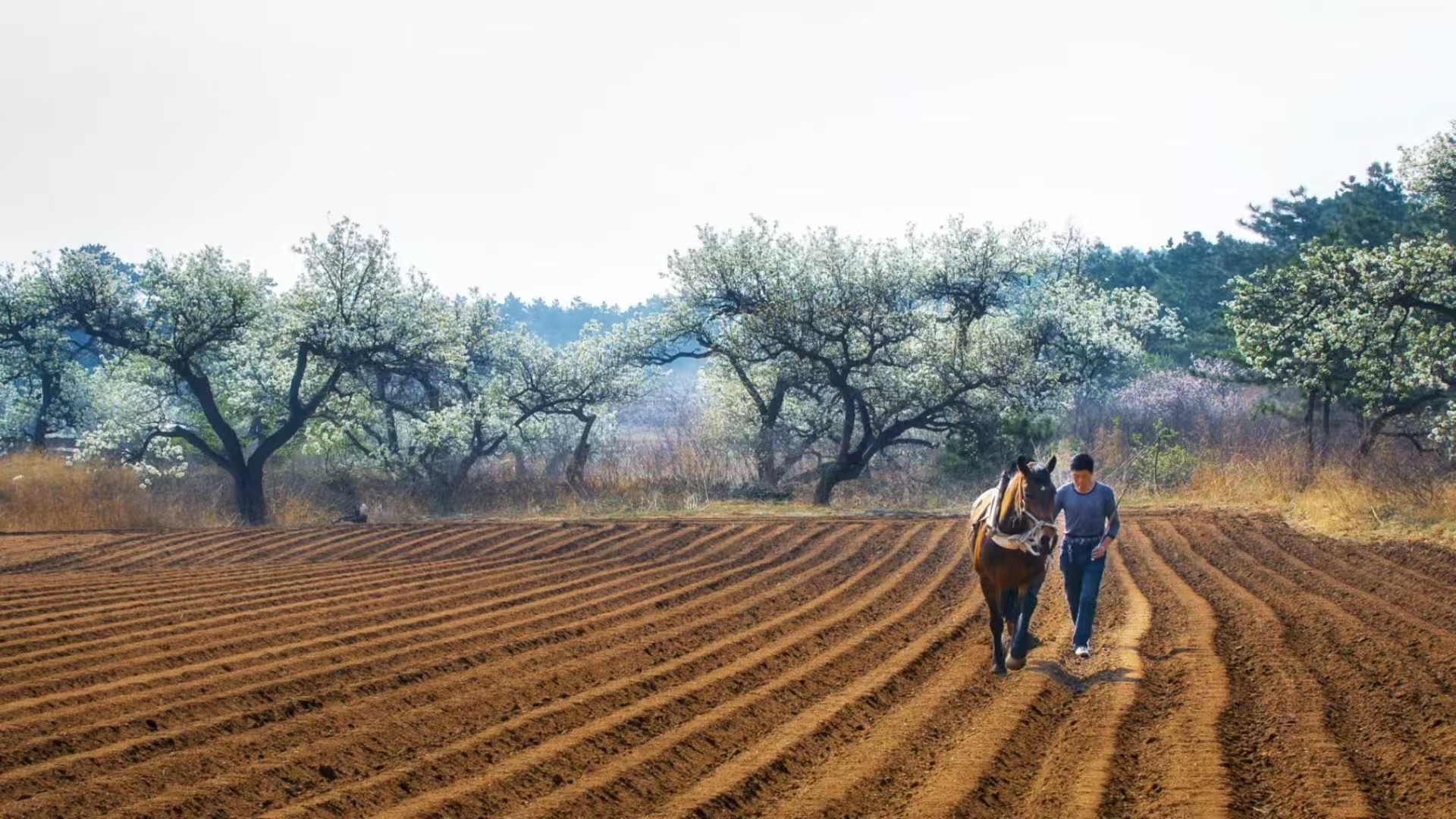 微信图片_20250505213923 微信图片_20250505213923