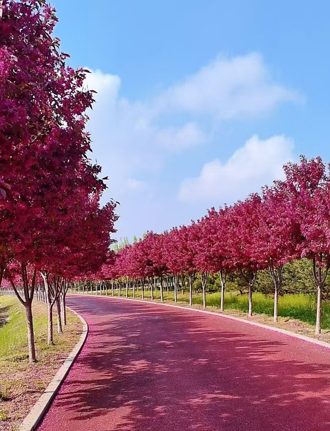 微信图片_20250514131239 微信图片_20250514131239