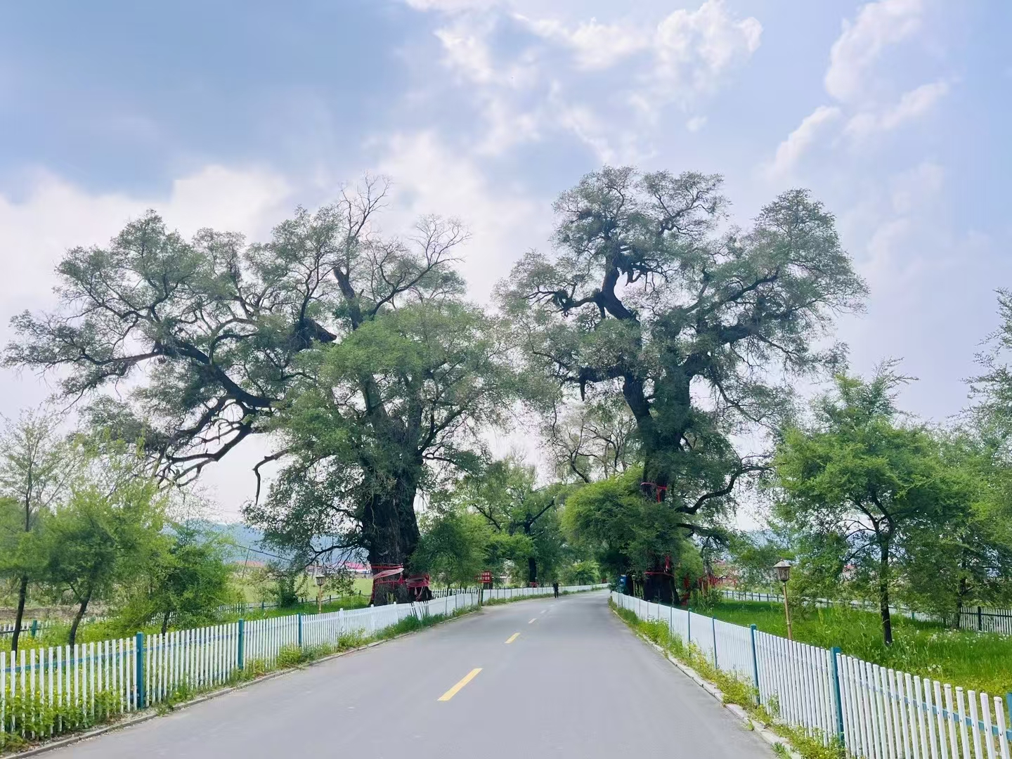 馨德全媒体宣传中心致2025届考生家长的一封信