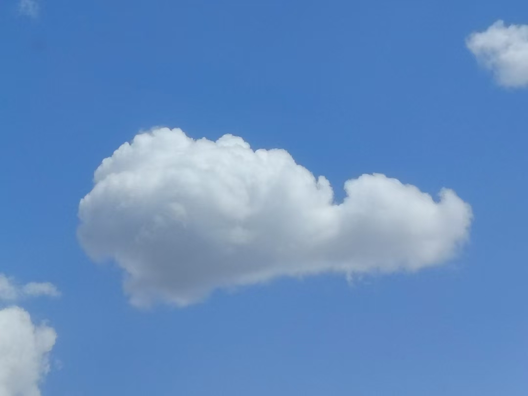 微信图片_20250608134915 微信图片_20250608134915