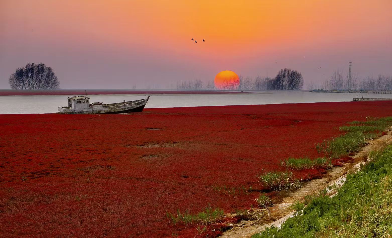 可以表达愤怒，不能愤怒地表达