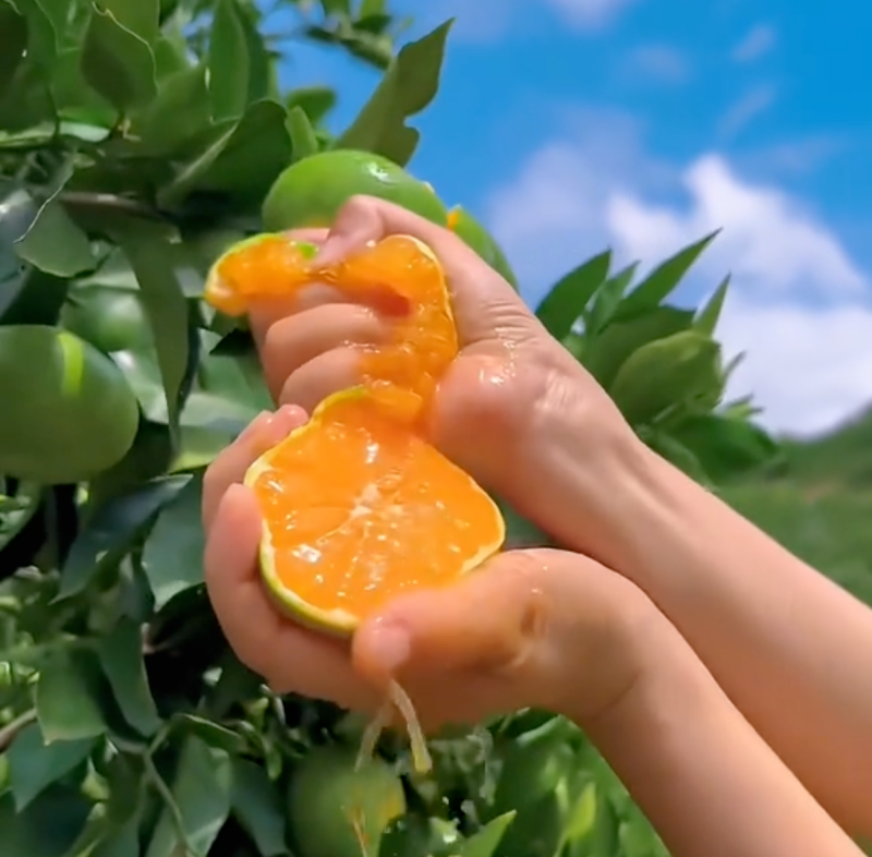 抖音电商升级治理“低质高价”违规，坚决打击不当获利，保障消费者体验