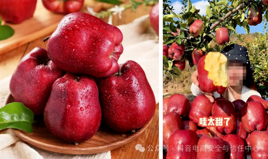 微信图片_2025-09-12_123230_736_副本 微信图片_2025-09-12_123230_736_副本