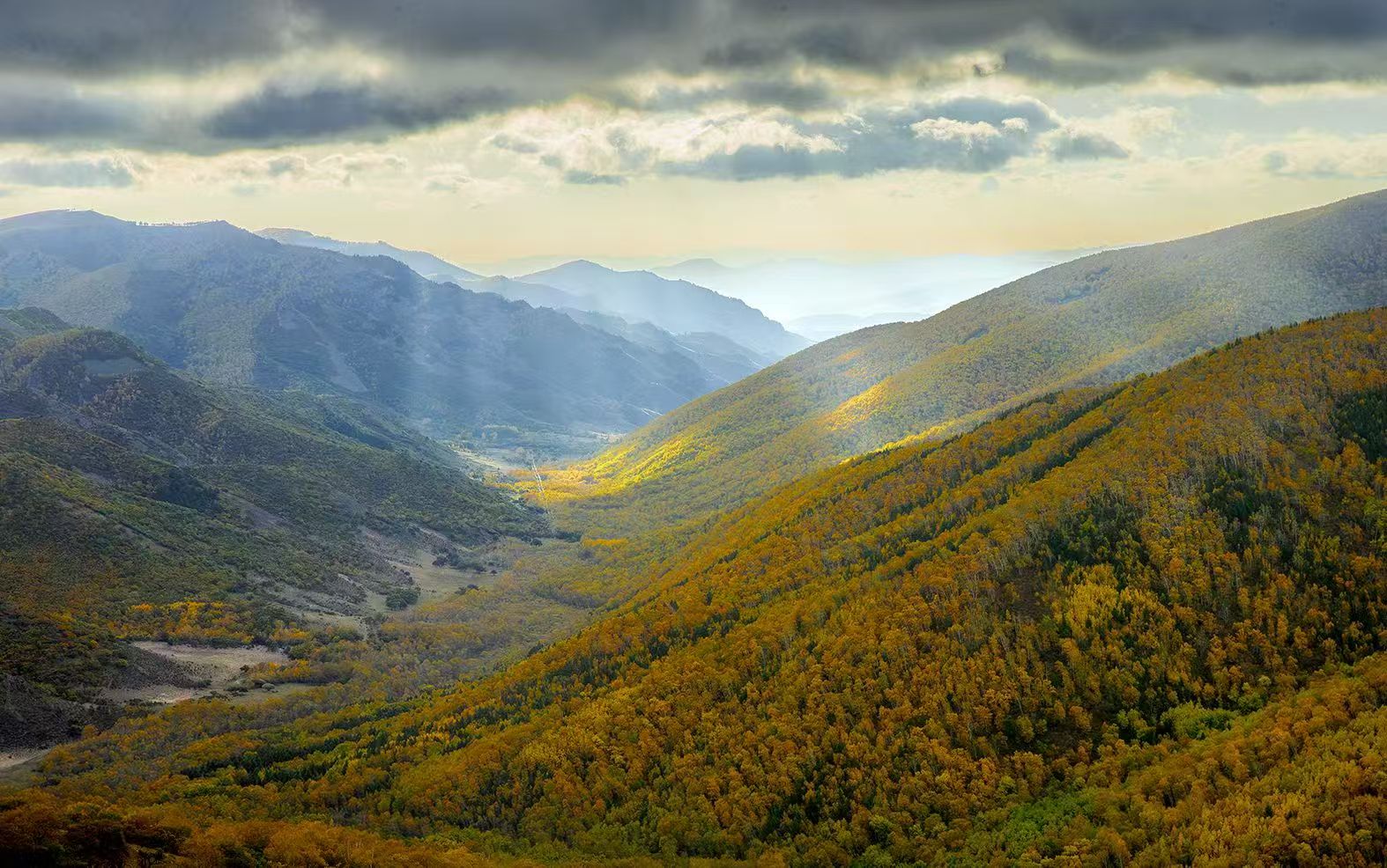 关于公开盘锦市生态环境领域营商环境建设专项监督电话的通告
