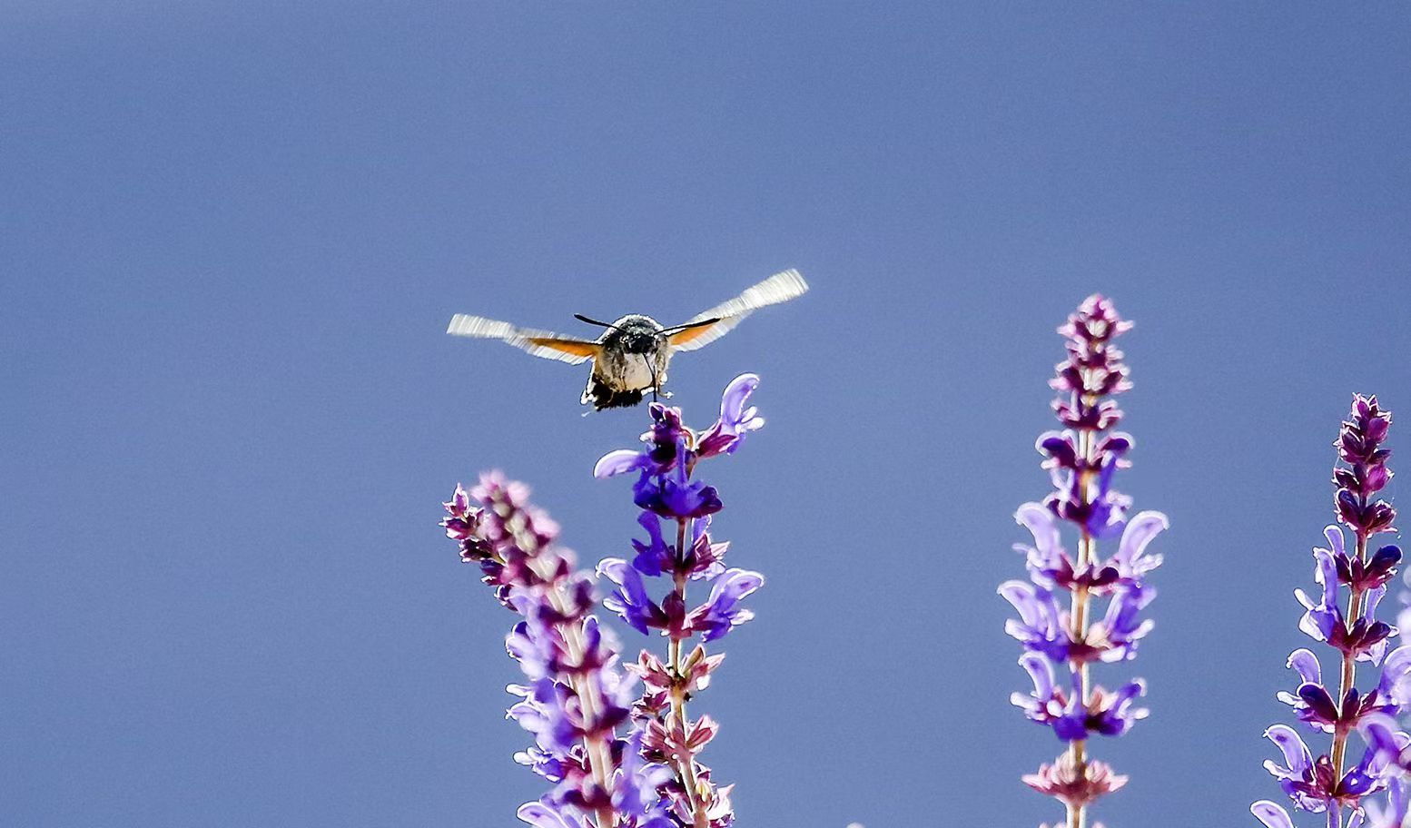 盘锦市教育局关于2026年寒假校外培训致家长的一封信