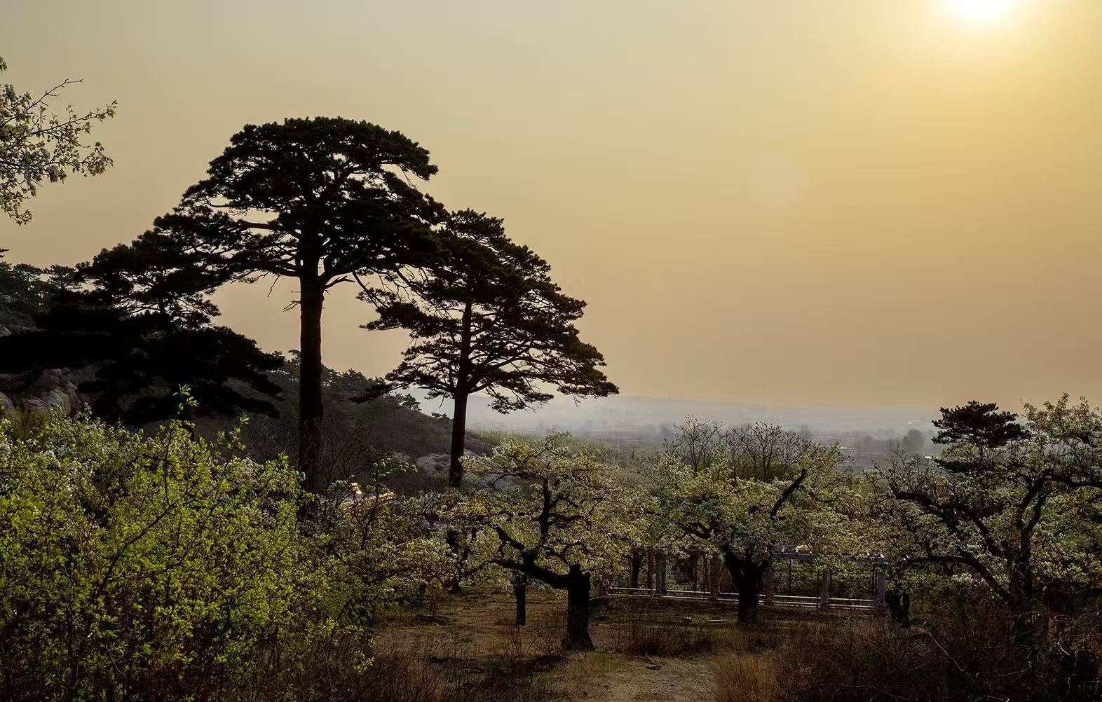 2026年寒假期间盘山县教育局关于理性选择校外培训告家长书