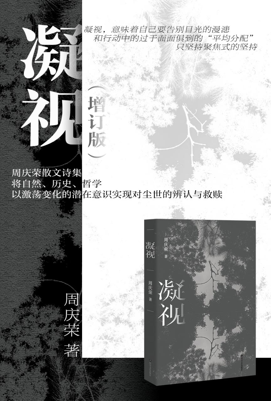 图片7